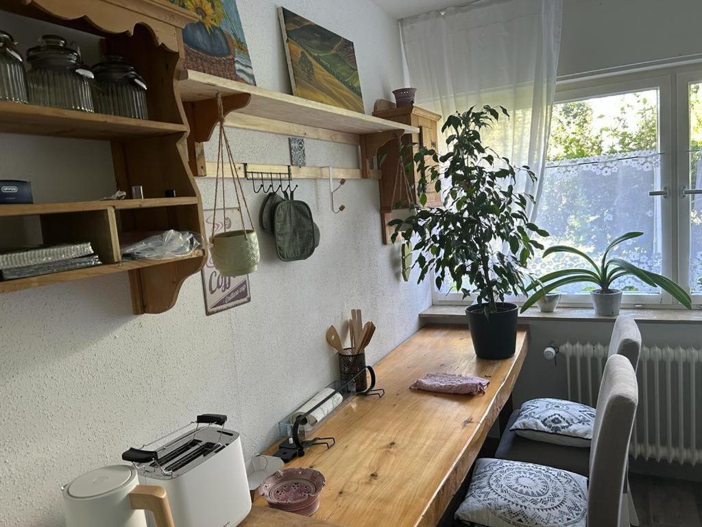 Ferienwohnung An Der Loipe Lichtenstein  المظهر الخارجي الصورة